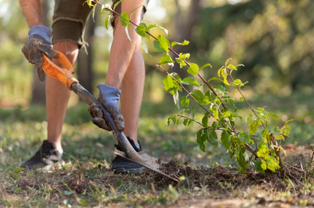 persona con una pala plantando un arbol