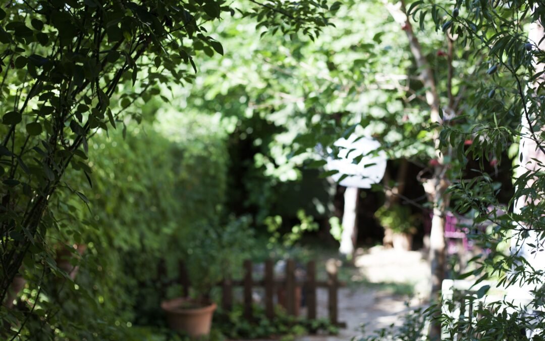 Mantenimiento integral de jardines en Collado Villalba